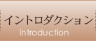 イントロダクション